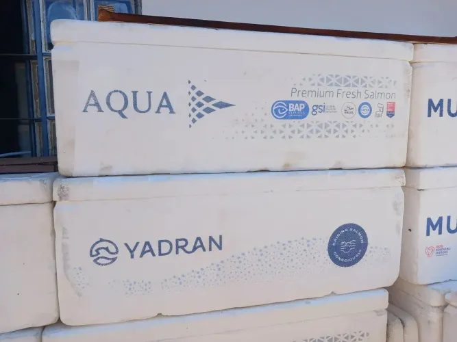 Caixa de isopor 60 litros (preço bom)