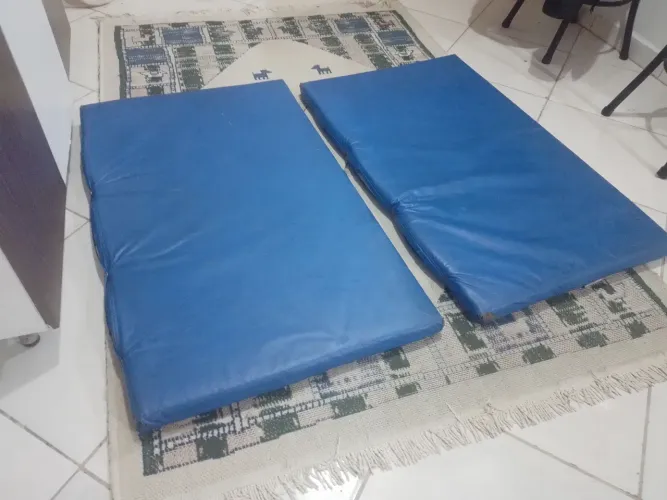 Par de colchonetes só 50 reais 