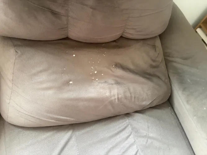 Sofá cama