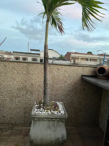 Jarro de cimento para fruteira