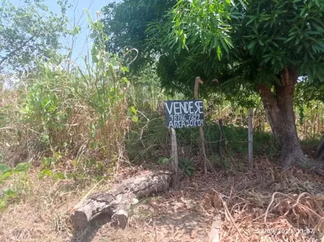 Vendo Terreno no Tajipuru