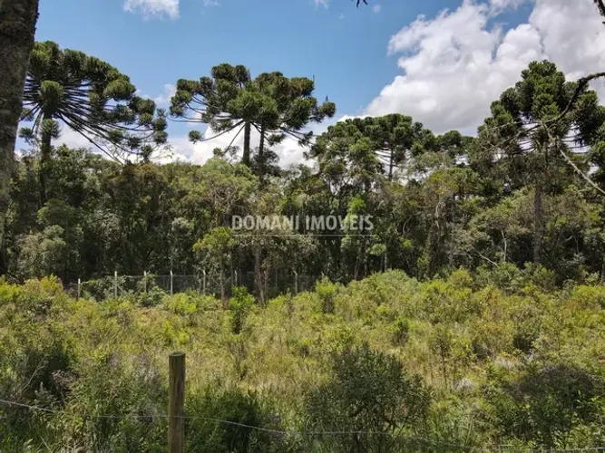 Lote de Terreno Plano à Venda na Região do Alto da Boa Vista - Campos do Jordão/SP