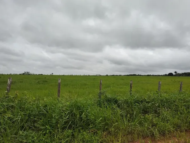Baixou pra 8 milhões 165 alqueires dupla aptidão por R$10 milhões 