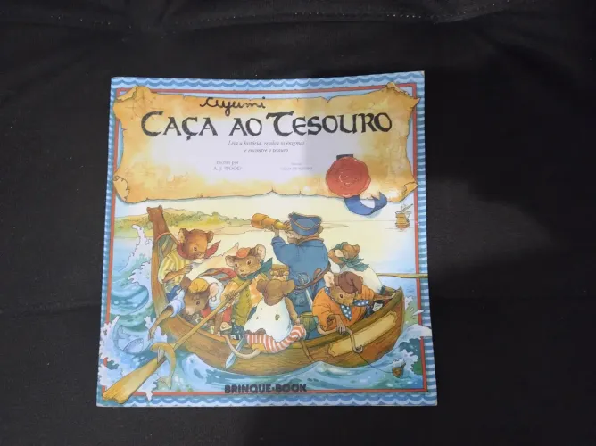 Livro  Caça ao Tesouro