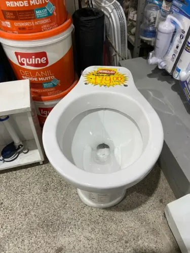 Vaso sanitário convencional novo  