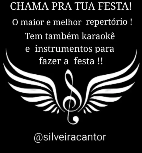 Cantor voz e violão 