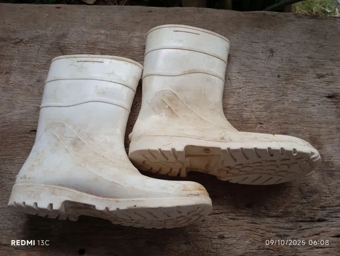 Botas galocha número 42