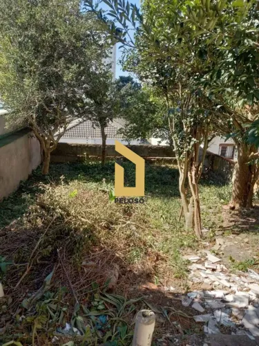 Terreno à venda, 300 m² medindo 7,75x42 - Bairro Tremembé - São Paulo/SP