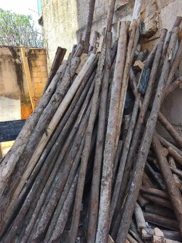 Eucalipto pra obra