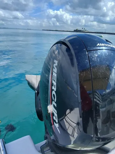Motor Mercury 150 HP Pro XS - Semi-novo