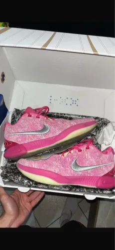 Lebron XXI ?The world is your Oyster?