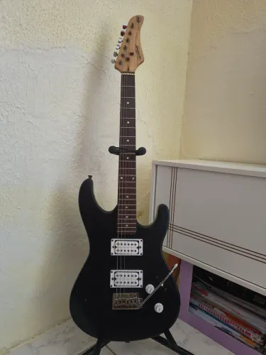 Guitarra Waldman