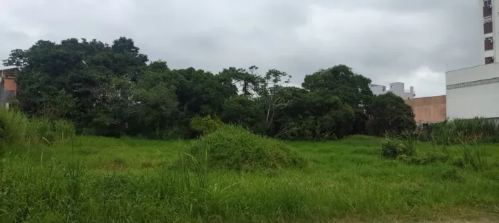 Terreno à venda com mais de 7.500m² no Passa Vinte - Palhoça/SC | Alto potencial construti