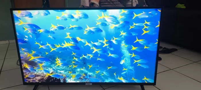 Tv TLC smart muito nova 43 polegadas 550 pra hoje 