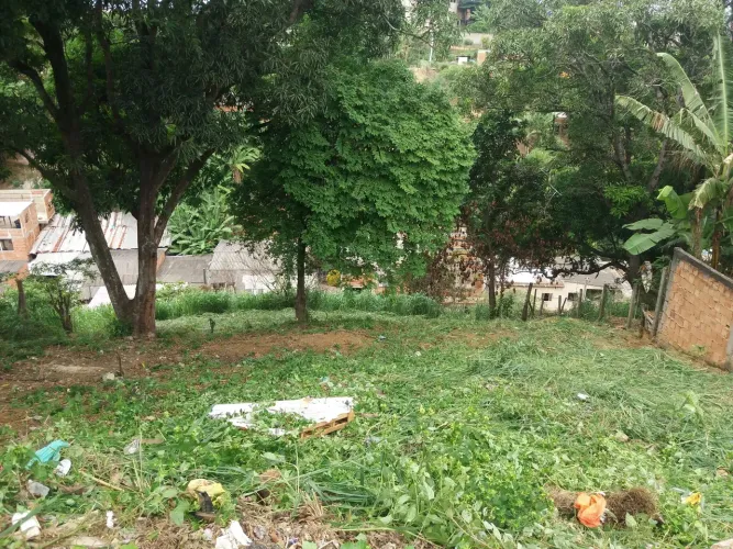 Lote em castelo branco 