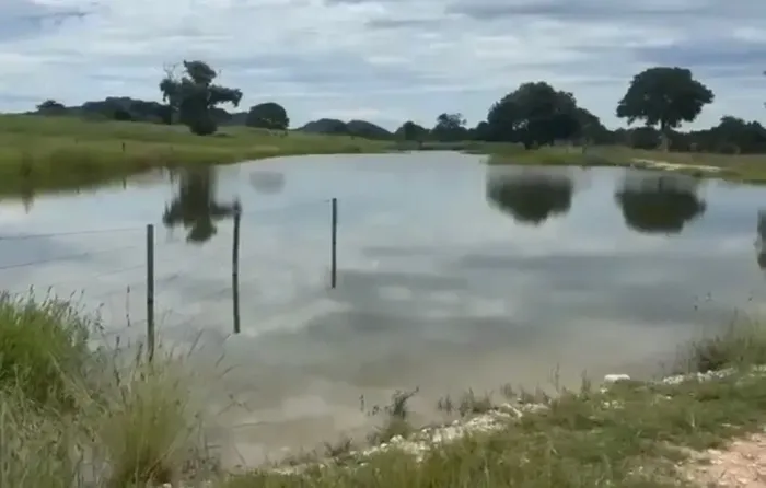 Fazenda a venda, em Matrinchã - Faina / Goiás!!!
