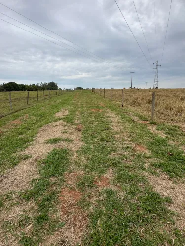 Chácara proximo a cidade 2.12 hectares