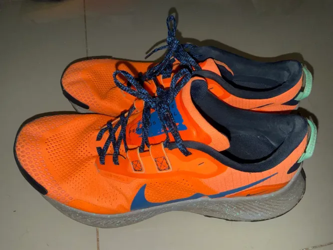 Nike Pegasus Trail 3