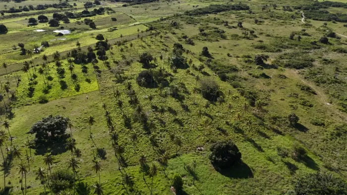 fazenda com 50 hectares na região de São Gonçalo do Amarante cortada pelo rio Potengi