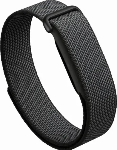 Google Fitbit Air
