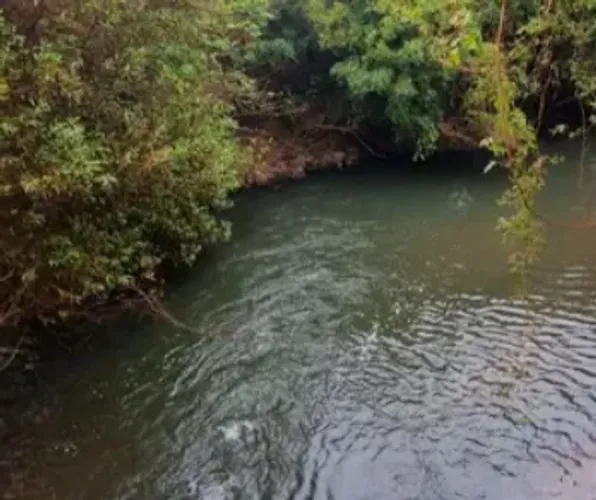 Fazenda 300 hectares Diferenciada Entre Porangatu Novo Planalto Sao Miguel do Araguaia