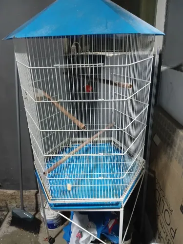 Vendo