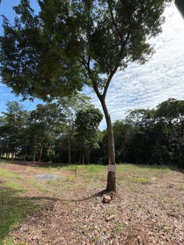 Terreno Condomínio de Chácaras CountryVille - Hidrolândia 