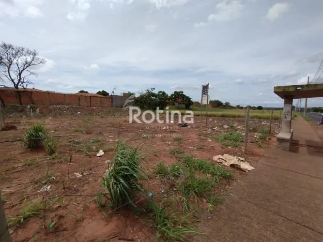 Terreno para alugar, Shopping Park - Uberlândia/MG - Rotina Imobiliária
