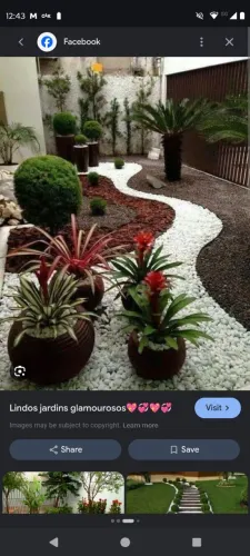 Serviços de jardinagem em geral