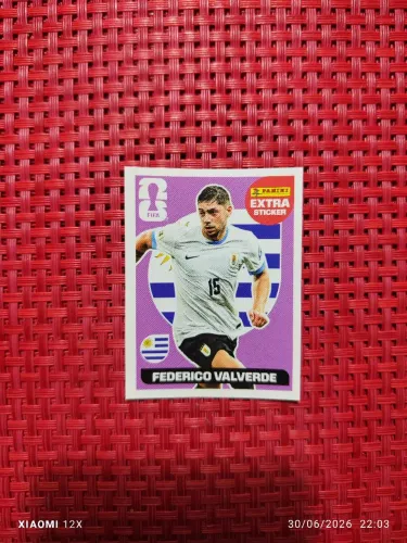 VALVERDE LEGEND BORDÔ (ROXO)