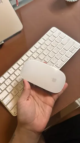 Teclado e mouse Apple