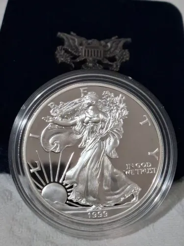 American Silver Eagle Proof Coin UNC