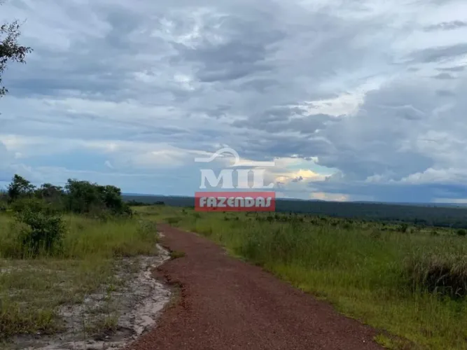 Fazenda no Maranhão 3.230 Hectares.