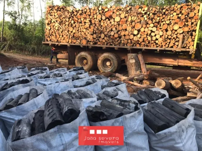 Fazenda para Venda em Pilar do Sul
