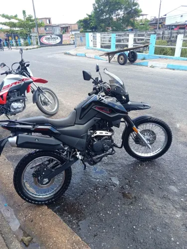 Shi175
