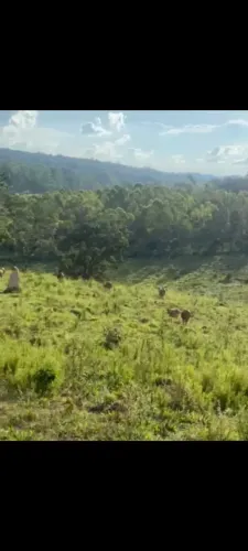 Fazendinha em Sao Sebastião do Oeste - MG - 24 hectares para plantação,gado e granja
