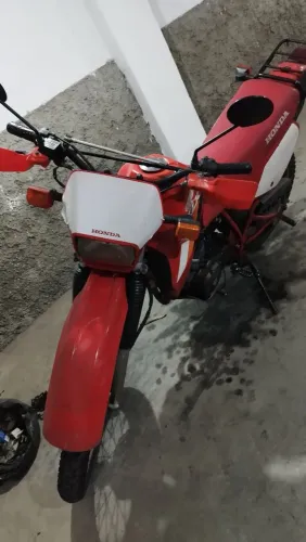 XLX 350 