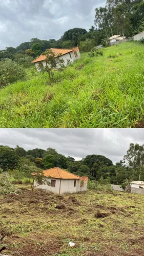 ROÇAGEM/PODA DE ÁRVORES 