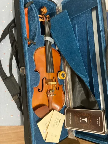 Violino VE441