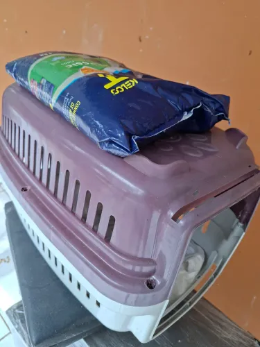 Caixa transporte Gatos com Areia grátis 