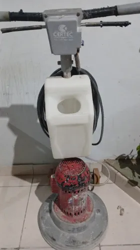 Polidora piso