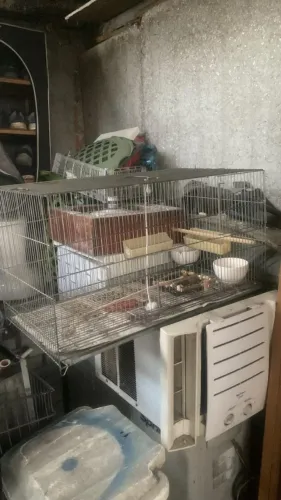 Gaiola Viveiro metálica Aramil para aves domésticas
