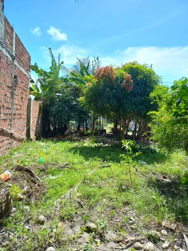 Vende-se sítio com Casa em Candeias