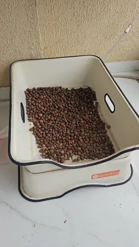 Banheiro para gato