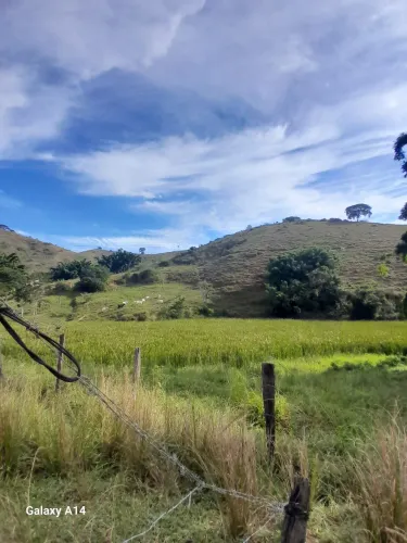 Vendo Área Em MG