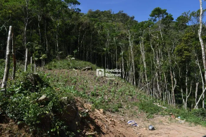 Terreno à Venda em São Pedro da Serra  Últimas Unidades! | Escritura e RGI