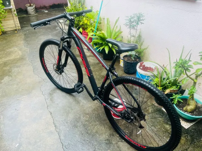Bicicleta OGGi