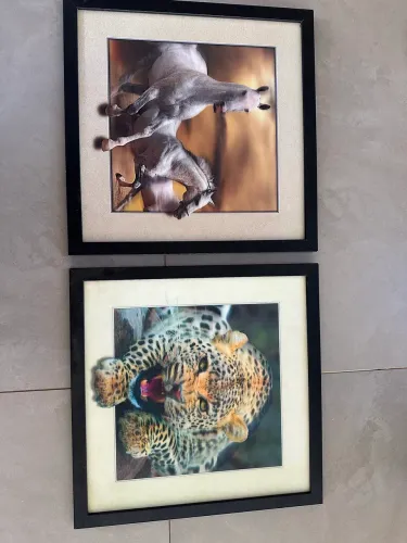 2 quadros em 3D