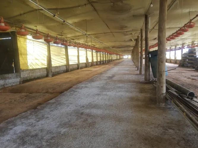 VENDO TROCO GRANJA REGIAO  ITAPETININGA CAPACIDADE 70.000 AVES (032)