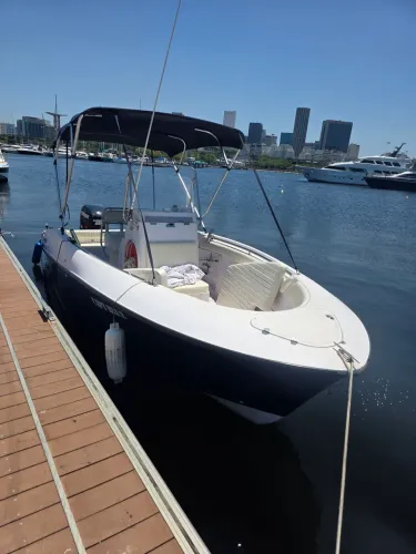 Top fish 21 motor 225 hp